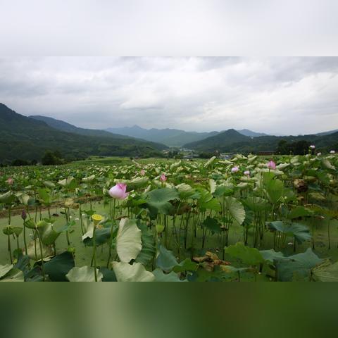 建宁县最新发展概览