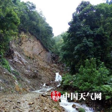 陵县最新天气报告