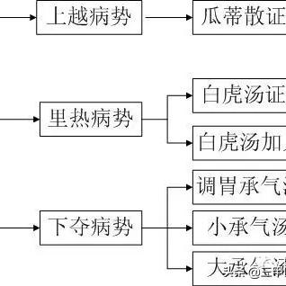 探索未来之门——55世纪官网地址解析