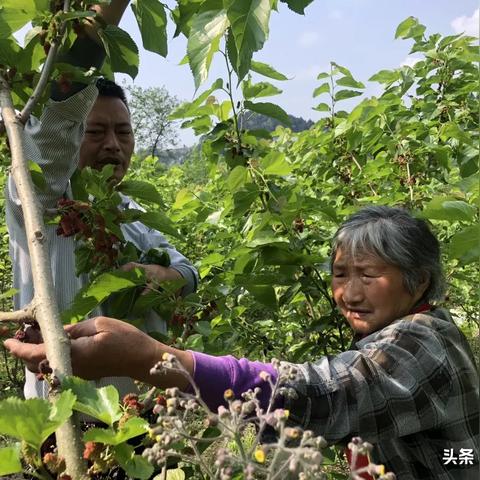 探索一分快3的精彩世界——官方网址指南